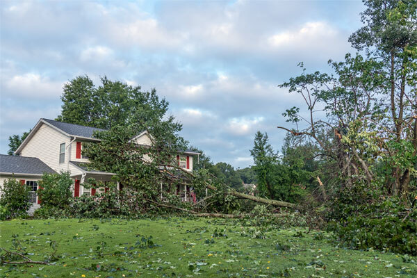 Image of a storm-damaged tree that fell onto a house and yard after severe weather.